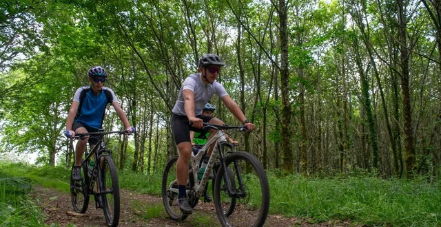photo  la normand’epik passe notamment par les chemins forestiers du mont-pinçon, plus haut point du département du calvados.  &copy;  lemiere/office de tourisme du pays de vire 