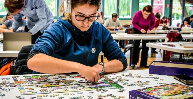 photo  l’open de france de puzzle s’est déroulé à aubigné-racan le week-end des 18 et 19 octobre 2025.  &copy;  le maine libre - yvon loué 