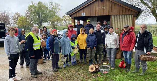 photo  l’an dernier, une vingtaine de marcheurs sont venus à la rando champignons malgré le mauvais temps.  &copy;  archives le maine libre 