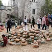 photo  ce sont plus de 130 variétés de courges comestibles ou ornementales qui sont mises en scène dans le parc du prieuré. 