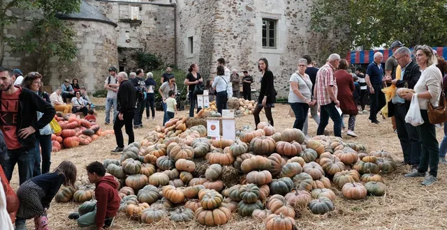 photo  ce sont plus de 130 variétés de courges comestibles ou ornementales qui sont mises en scène dans le parc du prieuré.  &copy;  archives ouest-france 
