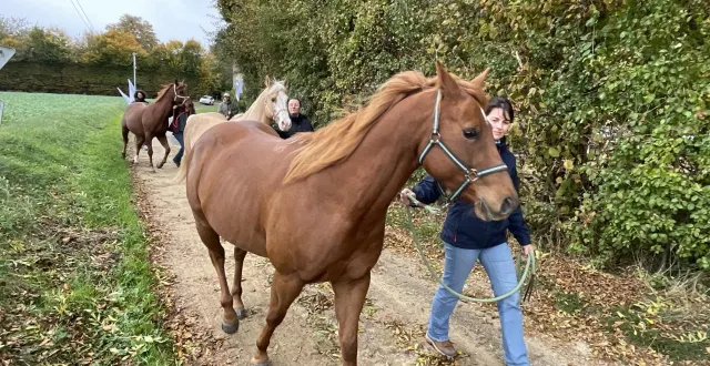 photo  monts-sur-orne, près d’argentan (orne), était le théâtre d’une marche des chevaux.  &copy;  ouest-france 