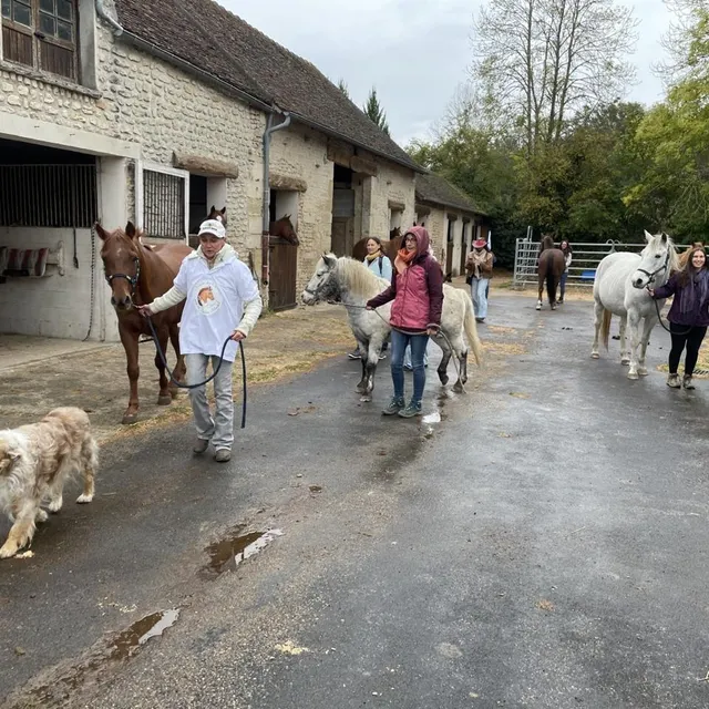 photo à monts-sur-orne, la marche des chevaux pour un pardon mondial a réuni une dizaine d’équidés.  ©  ouest-france