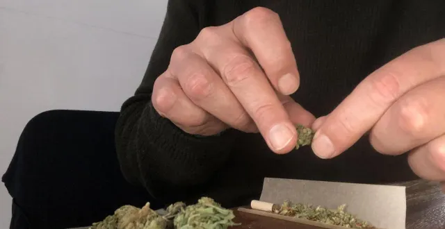 photo  l’incompréhension sur le statut pénal du cbd s’est invitée dans la salle d’audience du tribunal d’alençon (illustration).  &copy;  ouest-france 