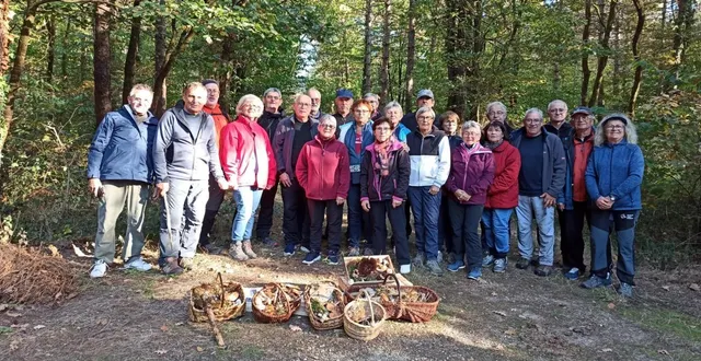 photo  une vingtaine de randonneurs de meignanne rando et des membropattes ont participé ce vendredi à la rando champignons dans la forêt de longuenée. même si la cueillette n’a pas été abondante en raison du manque de pluie, elle aura servi à compléter l’exposition mycologique organisée par la société d’études scientifique de l’anjou à l’école de pharmacie d’angers.  &copy;  ouest-france 