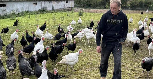 photo  pour daniel bodet, l’élevage de plein air est une marque de fabrique depuis quatre décennies. mais il va respecter la claustration de ses volailles rendue obligatoire par la crainte d’une propagation des foyers la grippe aviaire.  &copy;  co - fabien gouault 