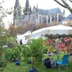 photo après la fête des plantes au printemps, place à celle des arbres et du miel organisée par l’association sées végétale et florale