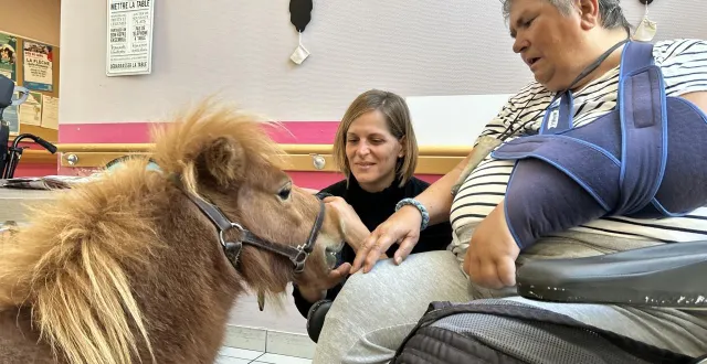 photo  lorsqu’il est au contact des résidents, ninja est calme et docile. il aime poser sa tête sur leur jambe et se faire caresser le museau.  &copy;  le maine libre 