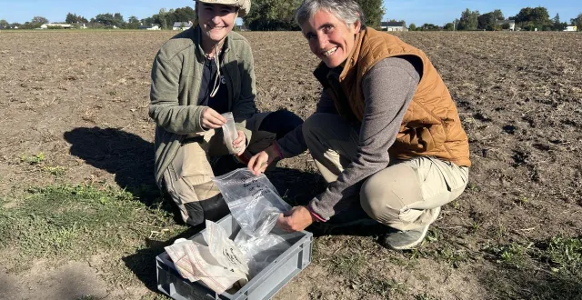 photo  beaufort-en-anjou, le 7 octobre 2025. laure déodat (à droite sur la photo) et une étudiante en master au laboratoire de recherches archéologie et architectures (lara), lors des fouilles aux marillères.  &copy;  co – christophe ricci 