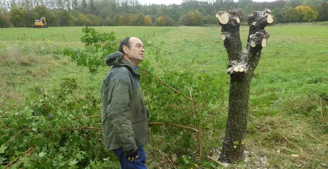 photo  dominique mansion donnera quelques bons conseils indispensables pour entretenir ses trognes.  &copy;  archives ouest-france 