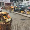 photo  « très joli », « superbe », « magnifique »…les commentaires des passants au centre-ville de candé vont bon train. tous pour se féliciter de la décoration mise en place par les jardiniers de la commune sur le thème d’halloween. il ne manque rien, sorcières, citrouilles et autres cucurbitacées emplissent la fontaine et le parterre en arrière. 