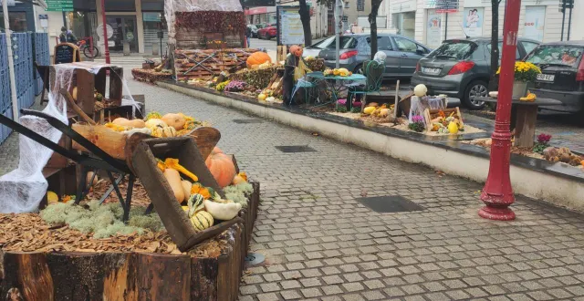 photo  « très joli », « superbe », « magnifique »…les commentaires des passants au centre-ville de candé vont bon train. tous pour se féliciter de la décoration mise en place par les jardiniers de la commune sur le thème d’halloween. il ne manque rien, sorcières, citrouilles et autres cucurbitacées emplissent la fontaine et le parterre en arrière.  &copy;  ouest-france 