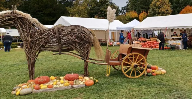 photo  la fête a enchanté tous les visiteurs.  &copy;  le maine libre 