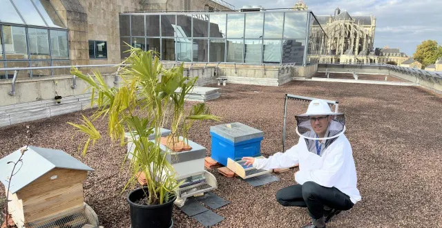 photo  sébastien colombet, juge d’instruction au mans, enfile sa vareuse d’apiculteur, entre midi et deux, pour aller s’occuper des ruches qu’il a installées sur le toit de la cité judiciaire.  &copy;  ouest-france 