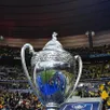 photo  le trophée de la coupe de france. 