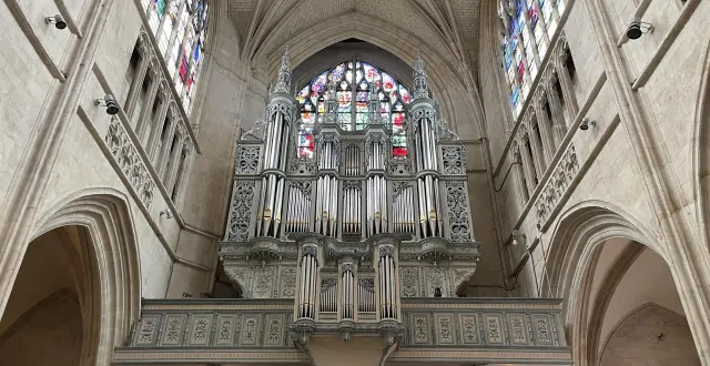 photo  l’organiste sophie-véronique cauchefer-choplin sera au grand orgue.  &copy;  archives ouest-france 
