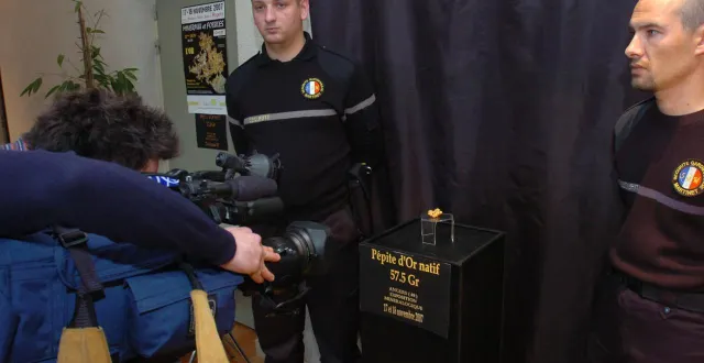 photo  une pépite d’une valeur de 15 000 € propriété du muséum de sciences naturelles.  &copy;  archives co 