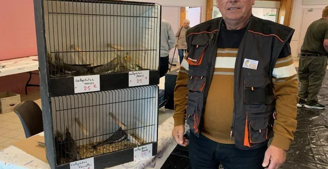 photo  joël roullin, trésorier de l’aaop, devant ses volières.  &copy;  le maine libre 