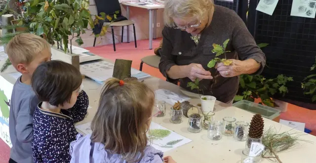 photo  un atelier pour reconnaître les arbres  &copy;  le maine libre 