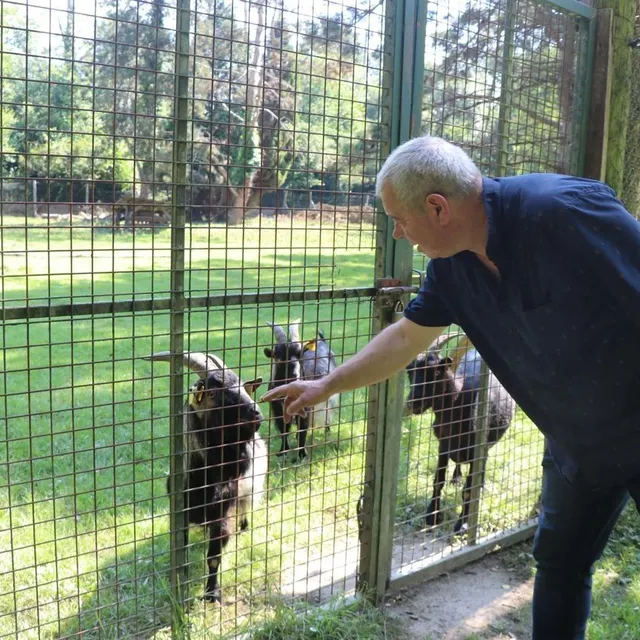 photo en juin 2024, une partie du parc de la couère s’était retrouvée sous l’eau après une crue soudaine de l’oudon. les animaux avaient pu être sauvés.  ©  archives ouest-france
