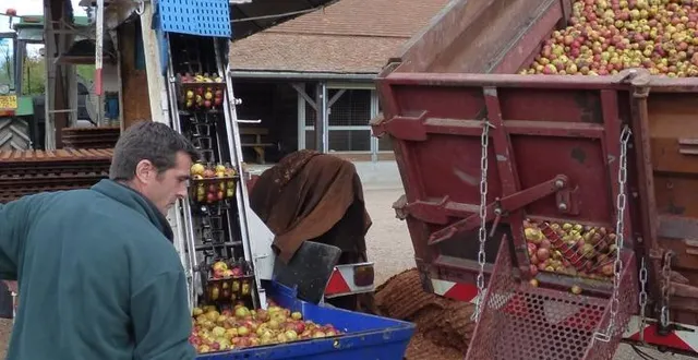 photo  la 28e édition de la fête de la pomme à l’arche de la nature aura lieu le dimanche 2 novembre 2025.  &copy;  arche de la nature 