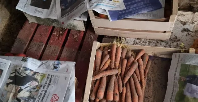 photo  le couple s’est retrouvé avec 145 kg de fruits et légumes. ils n’ont pas eu le temps de tout consommer avant la péremption.  &copy;  alexia poupier 