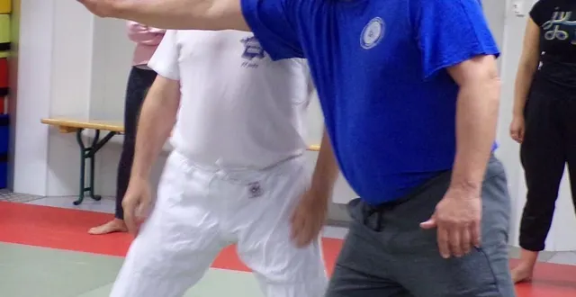 photo  michel adolphe a proposé des exercices de base lors d’une initiation à la self-défense.  &copy;  le maine libre 