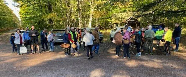 photo  le temps était idéal pour la cueillette des champignons.  &copy;  le maine libre 