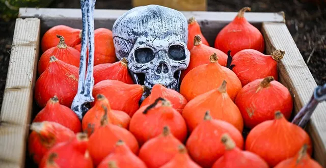 photo  plusieurs châteaux proposent des animations mêlant frissons et découvertes pour fêter halloween ce vendredi 31 octobre 2025 en maine-et-loire.  &copy;  photo franck dubray / archives ouest-france 