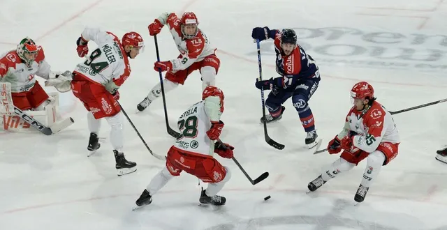 photo  philippe halley.  &copy;  co - jérôme hurstel 