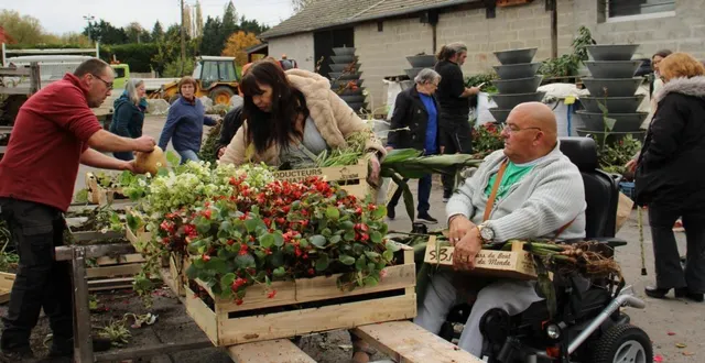 photo  pour la troisième année consécutive, la ville offre les fleurs et les plantes qui ne seront pas réutilisées la saison prochaine.  &copy;  ouest-france 