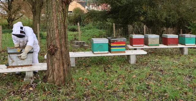 photo  une convention a été signée avec sébastien lebars, apiculteur à challes.  &copy;  ouest-france 