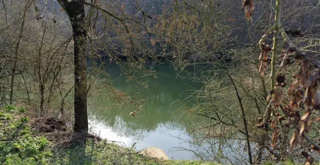 photo  vingt pompiers se sont déplacés rue pierre-martin pour un signalement à la pollution dans la sarthe.  &copy;  capture d’écran google maps 