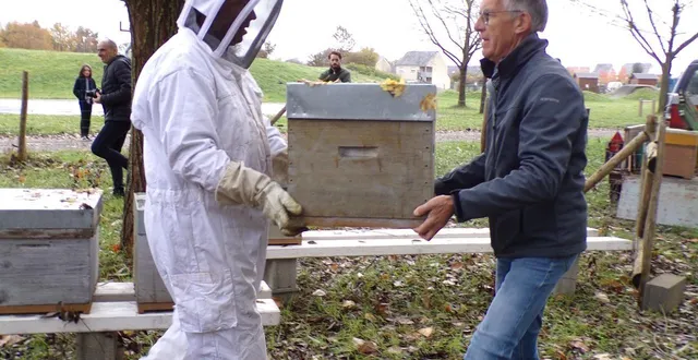 photo  une à une les 18 ruches ont été installées pour rejoindre les deux autres, fruit d’une première expérience.  &copy;  le maine libre 