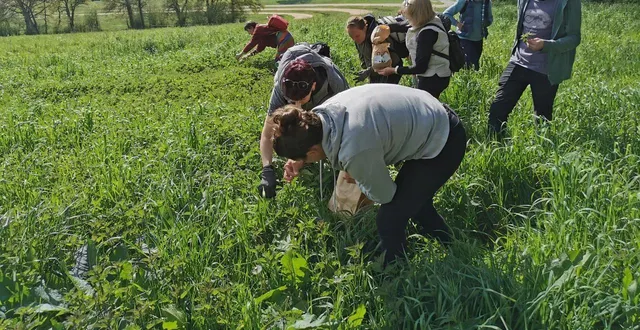 photo  une sortie à la découverte des plantes sauvages et comestibles est proposée, samedi 1er novembre 2025, au mans (photo d’illustration).  &copy;  ouest-france 
