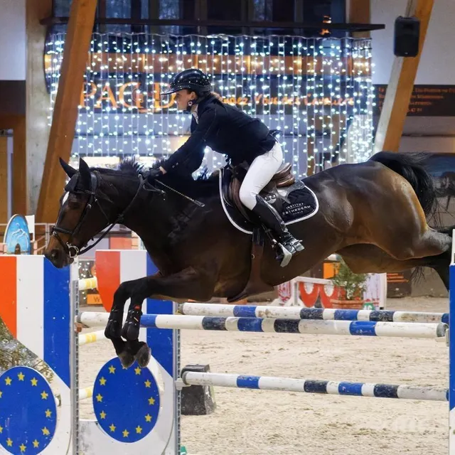 photo le pôle européen du cheval accueille une compétition de saut d’obstacles du 31 octobre au 2 novembre.  ©  dominique breugnot photographer