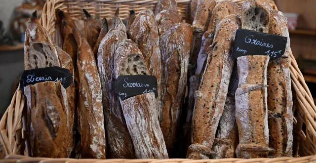 photo  le sénateur alerte sur « la baguette de pain à des prix anormalement bas ».  &copy;  photo d’illustration - archives co - josselin clair 