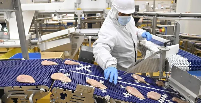 photo  un employé de ldc manipulant des filets de poulet dans l’un des ateliers du groupe, à sablé-sur-sarthe, en 2021.  &copy;  archives thomas bregardis / archives ouest-france 