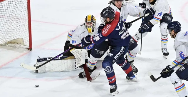 photo  les ducs d’angers continuent sur leur lancée d’un début de saison au presque parfait.  &copy;  sebastien aubinaud 