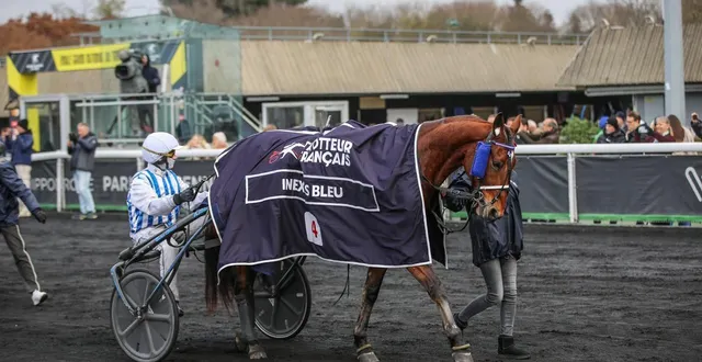photo  inexess bleu n’a pas réussi à enchaîner la passe de trois sur une épreuve de groupe 1 courue à milan, samedi 1er novembre 2025.  &copy;  bruno vandevelde - le trot 