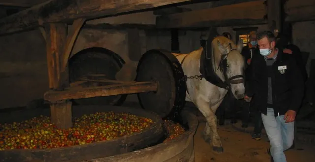 photo  le pressoir du xviiie siècle sera mis en fonction.  &copy;  archives ouest-france 