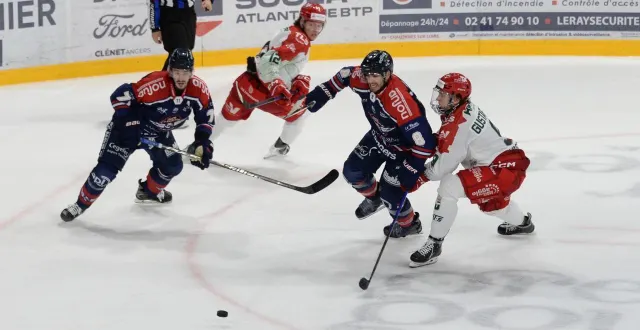 photo  les ducs d’angers terminent ce dimanche une semaine à quatre matchs.  &copy;  photo co-jérôme hurstel 