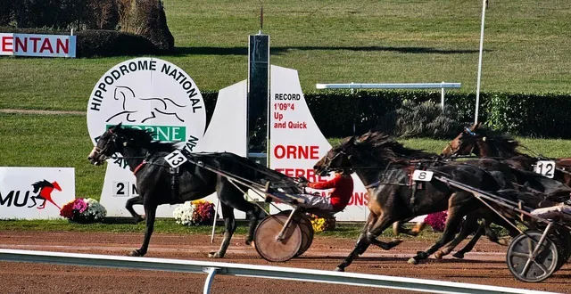 photo  le numéro 13, « karnac wood », vainqueur de la 6e course de trot en catégorie 5 ans.  &copy;  ouest-france. 