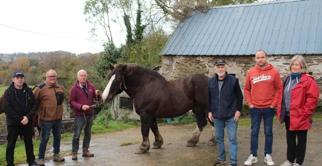 photo  le comité organisateur s’est retrouvé dimanche matin chez eric cario à kervern en plévin. ils entourent ici, le cheval nommé « dallas ».  &copy;  ouest-france 