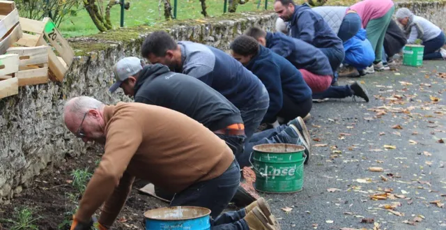 photo  des vivaces vont embellir la rue haute.  &copy;  le maine libre 