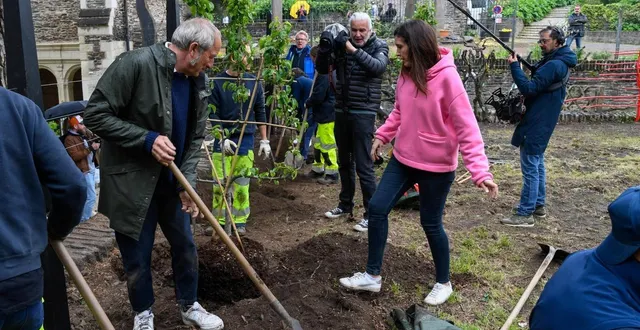 photo  dérivée de l’émission de jardinage de france 5, l’enseigne silence ça pousse, la première du genre en france va fermer.  &copy;  archives co - laurent combet 