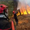 photo  en sarthe, ces propriétaires forestiers veulent préserver les bois des incendies. 