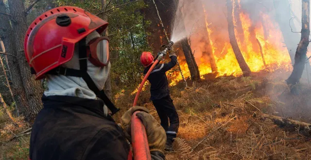 photo  en sarthe, ces propriétaires forestiers veulent préserver les bois des incendies.  &copy;  mathieu pattier / archives ouest france 