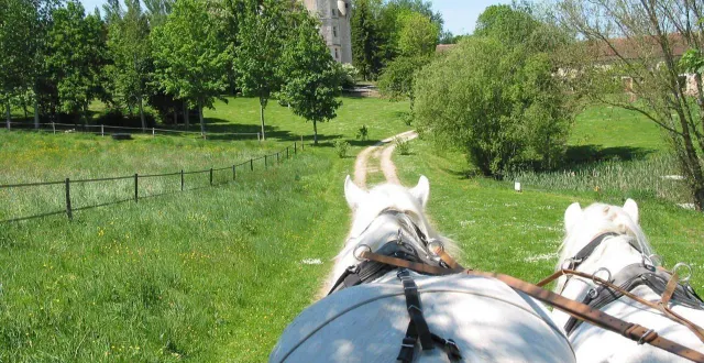photo  le manoir de courboyer à nocé (orne), maison du parc naturel régional du perche  &copy;  archives 