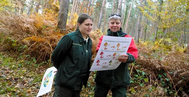 photo  mouliherne, jeudi 6 novembre. tifenn bouvet-choleau et nadeige maillard sont plus qu’impliquées dans cette évolution.  &copy;  co - matthieu gruaz-toussaint 